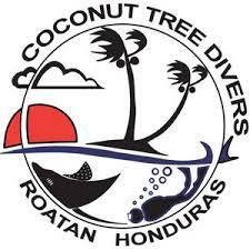 Coconut Tree Divers